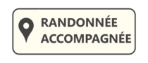 Picto rando accompagnee