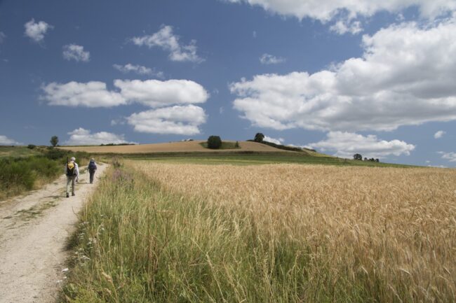 Semelles au vent Stevenson nord (3)