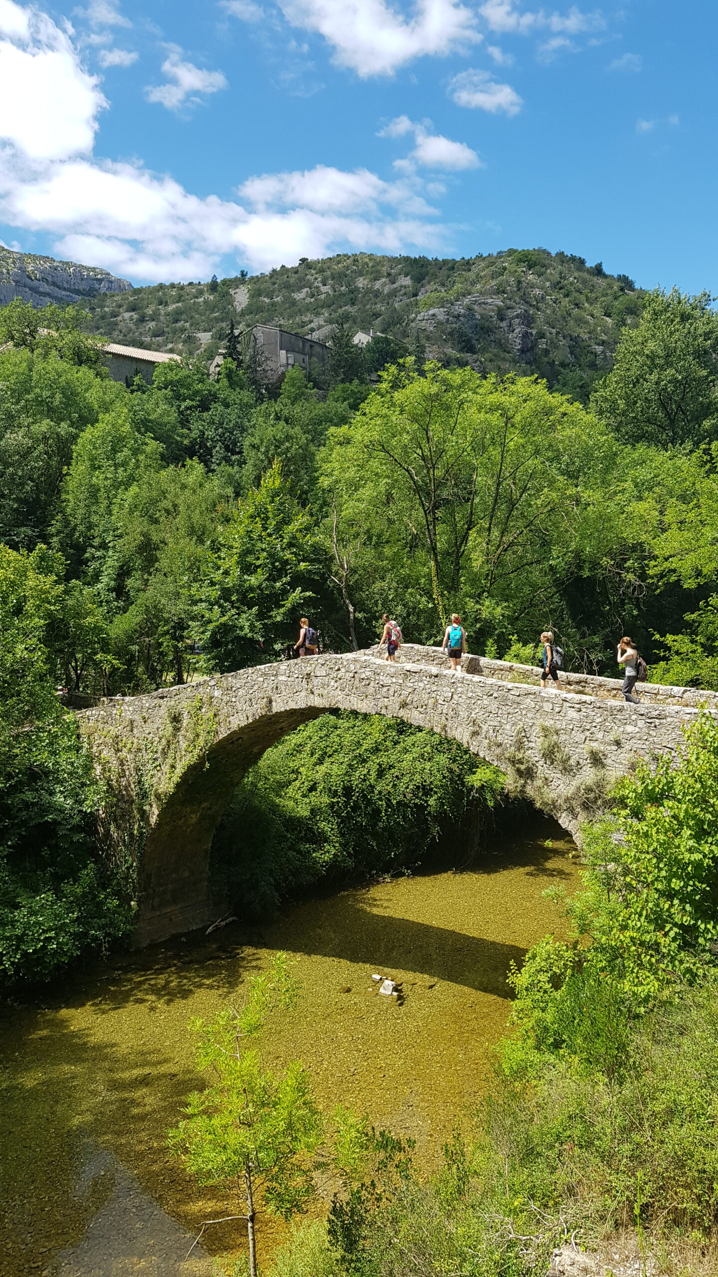 cevennes (29)