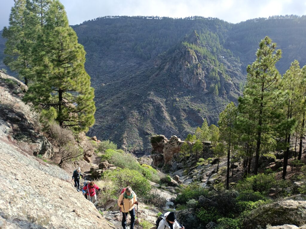 Espagne : Iles des Canaries : Gran Canaria